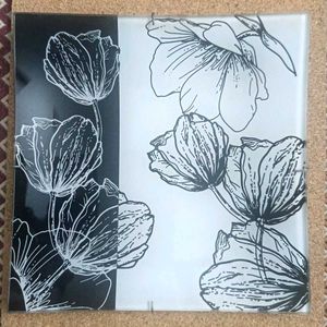 Glass Wallplate