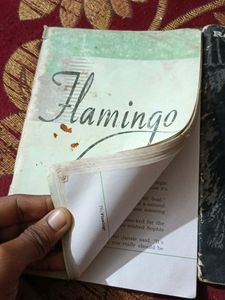 Class 12th , Flamingo And Vistas