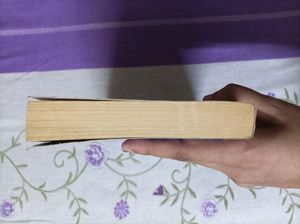 The Almost Moon By Alice Sebold