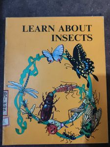 combo of three birds, reptiles, insect