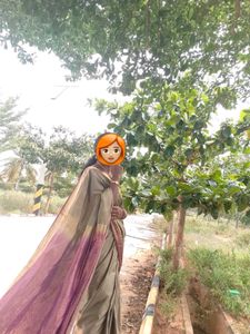 Royal Pure Silk Kancheepuram Saree