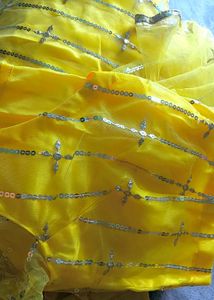 Elegant Yellow Lehenga Choli