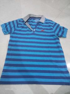 Hollister Brand Tshirt