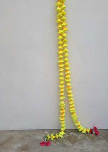 Festive Door Garland Set