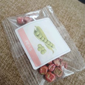 Variety Of Beans Seeds