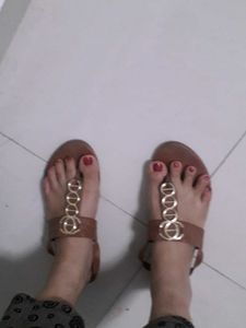 Brown Flats