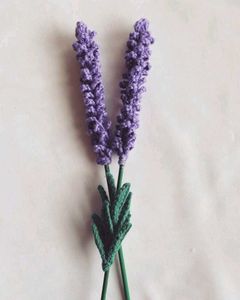 Lavender Combo