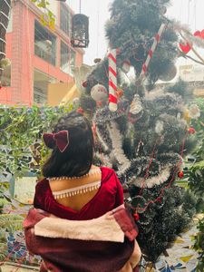 Velvet Designer Dress