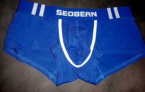 Blue SEOBEAN Boxer Briefs
