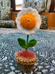 Chrocheted Flower Pot