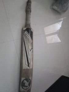 Bat