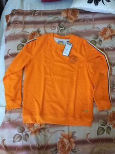 Orange Pullover Sweater