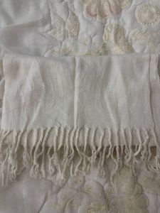 Elegant Cream Scarf