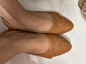 Formal Brown Bellies