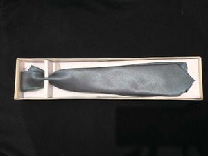 New Silver Colour Tie
