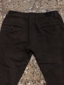 coffee brown Casual Pants