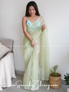 Pastel pista organza saree