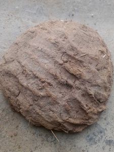Organic Fertilizer Cow Dung Cake Pack Of 5