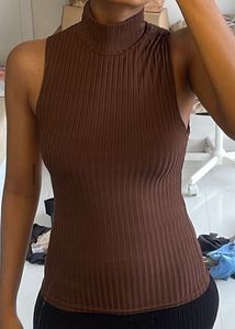 Brown Turtle Neck Top