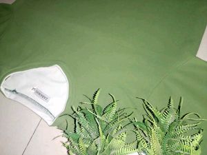 Zara Men light Green Tshirt