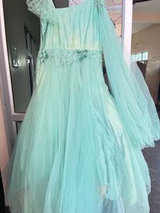 Elegant Ethnic Gown