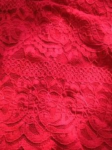 Red Lace Long Sleeve Top