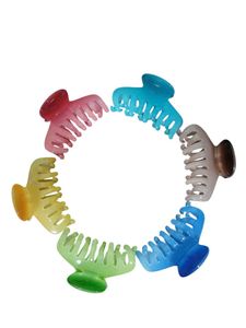 Colorful Claw Clip Set