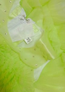 Green Tulle Dress