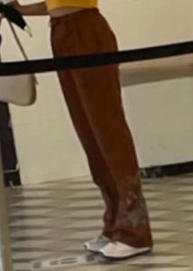 Urbanic Brown Pants
