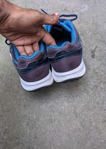 Reebok Shoes 👟