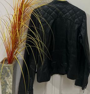 Stud Expre Leather Jacket