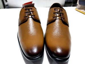Tan Formal Casual Shoes