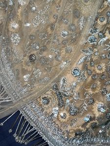 Shimmery Nude Sharara Set