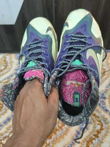 Nike LeBron Edition