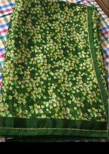Beutiful Shining Saree