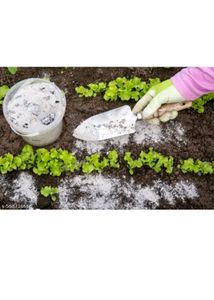 Wood Ash