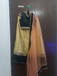 Back Less Blouse Lehanga