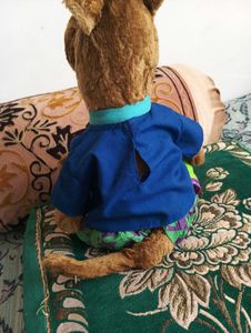 Scooby-Doo Plush Toy