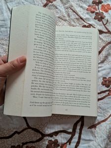 Novel