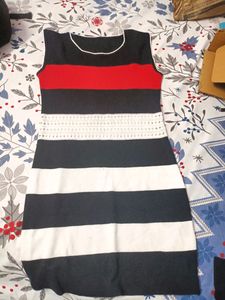 Bodycon Stretchable Mini Dress