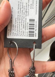 Fabindia 92.5 Silver Earnings