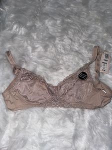 Brief