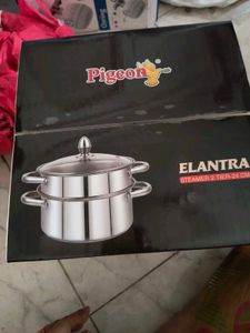 Pigeon Elantra Steamer