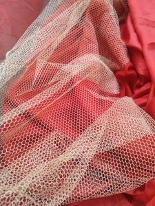 Red Princess Gown