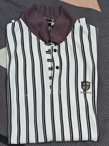 Striped Polo Shirt