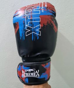 Xtreme MMA/boxing/kick boxing gloves 12oz
