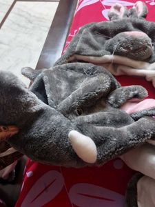 Cute Animal Hats