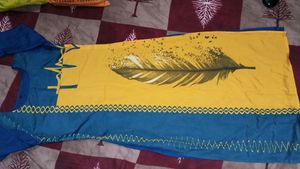 Combo Of 2 Kurti