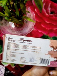 Blue HeavenSignaturePROFESSIONAL VIBRANT BLUSHER
