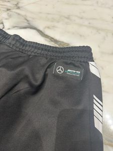 Puma Lower
